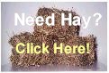 Need hay